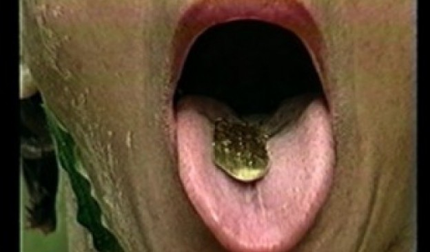 Convocatoria para el Laboratorio de Investigación y Curaduría (LIC)