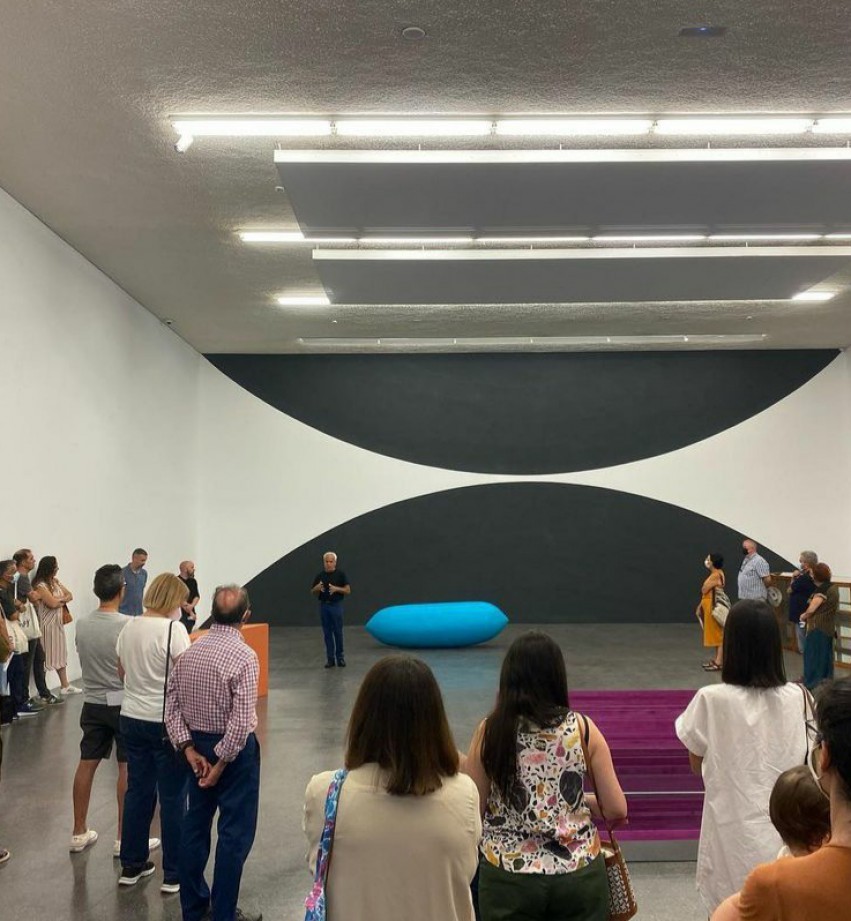 Visita guiada a 'Velar la forma' - TEA Tenerife Espacio de las Artes