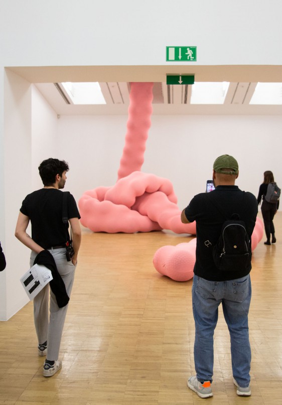 Visita guiada a exposiciones de Fotonoviembre, a cargo de Laura Vallés