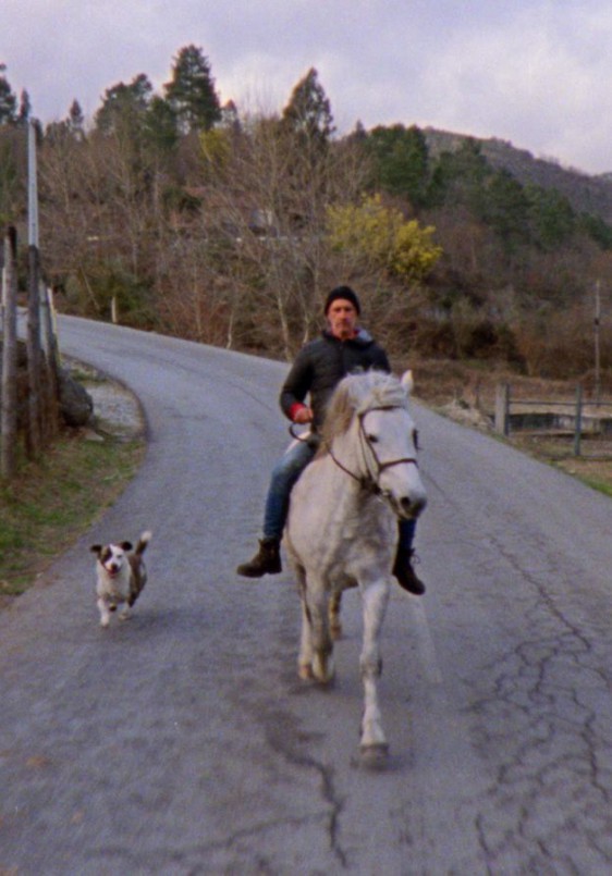 La sabana y la montaña