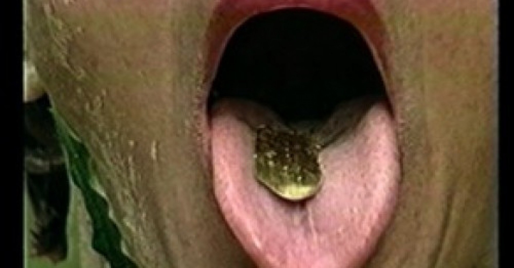 Convocatoria para el Laboratorio de Investigación y Curaduría (LIC)