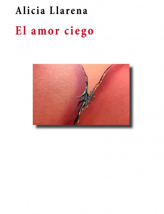'El amor ciego', de Alicia Llarena