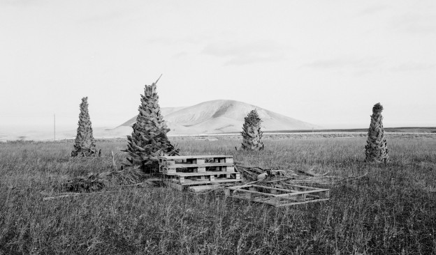 ‘Mato Grosso’, de Raquel Bravo, y ‘Endémico’, de Daniel L. Fleitas