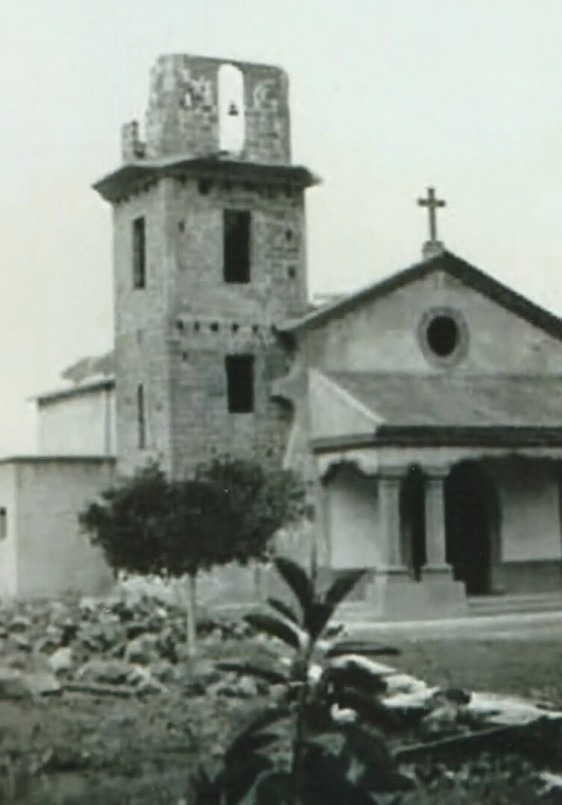 Raíces bajo la lava