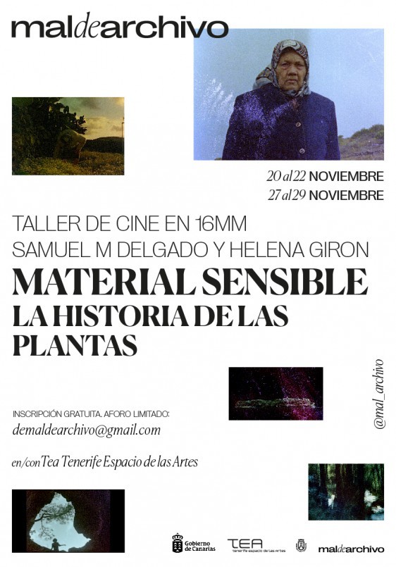 Taller 'La historia de las plantas'