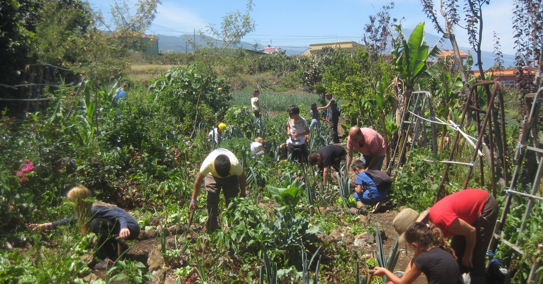 'El museo como ecosistema: cultivando interdependencias'