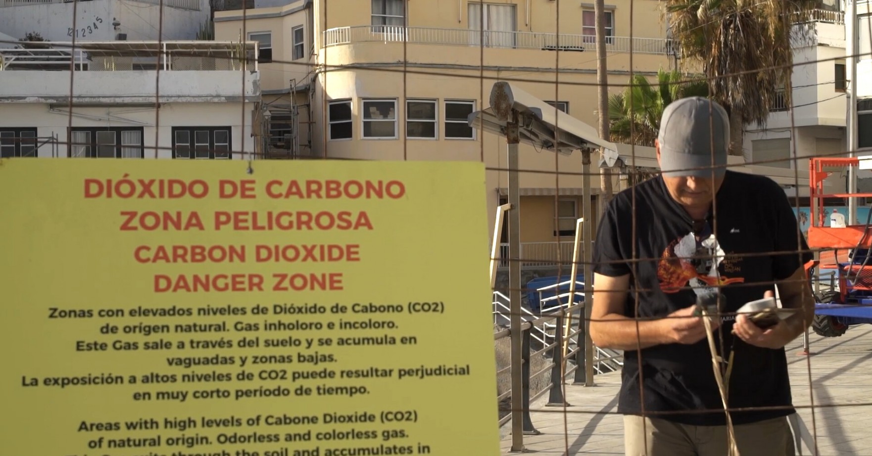 Raíces bajo la lava