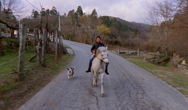 La sabana y la montaña