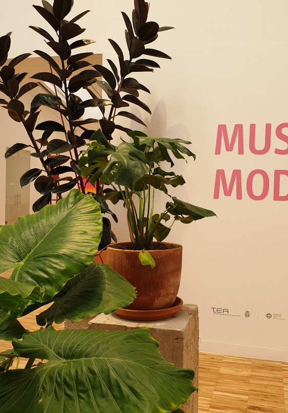Visita guiada a 'Museo moderno'