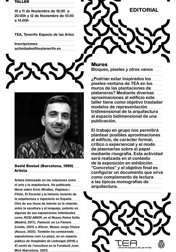 'Muros, bloques, pixeles y otros vanos', por David Bestué