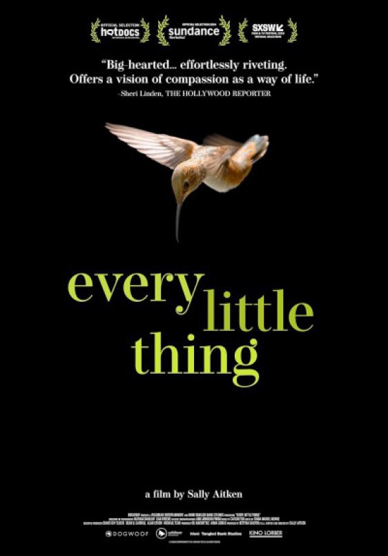 Every Little Thing (Cada pequeña cosa)