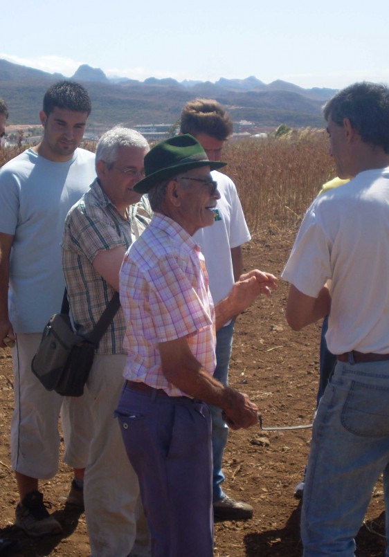 Taller de Bombas de semillas