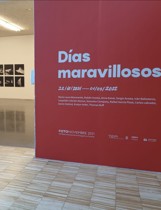 Visita guiada a las exposiciones de Fotonoviembre