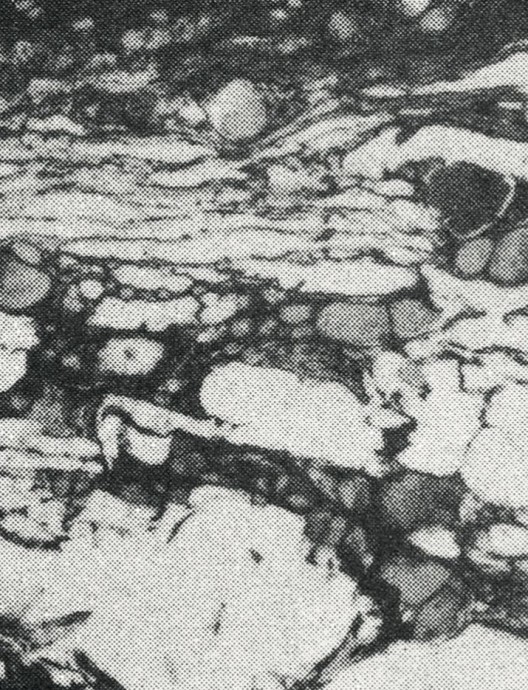 'Bajo una luz tenue', de Xavier Ribas