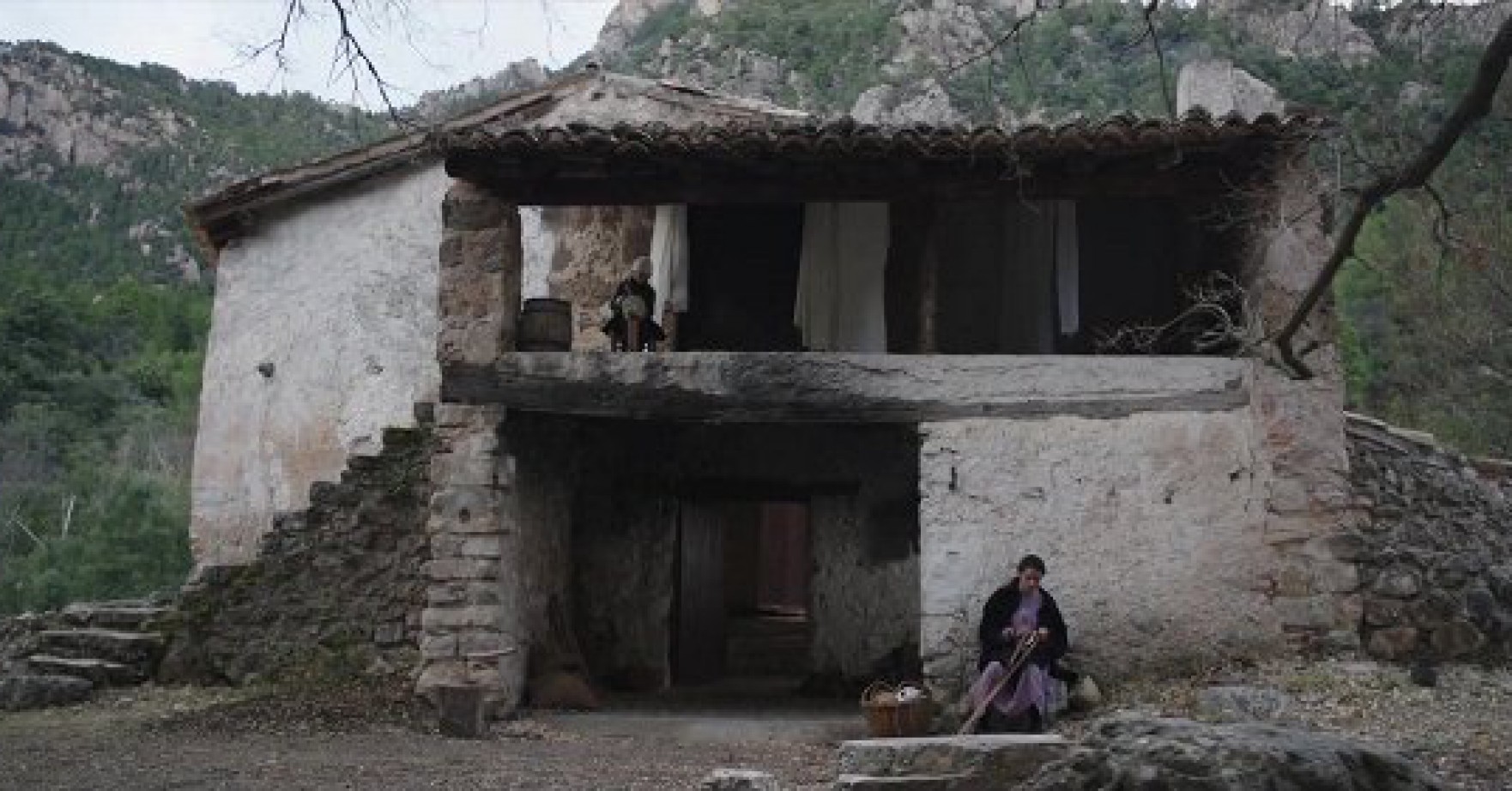 La memòria de les papallones