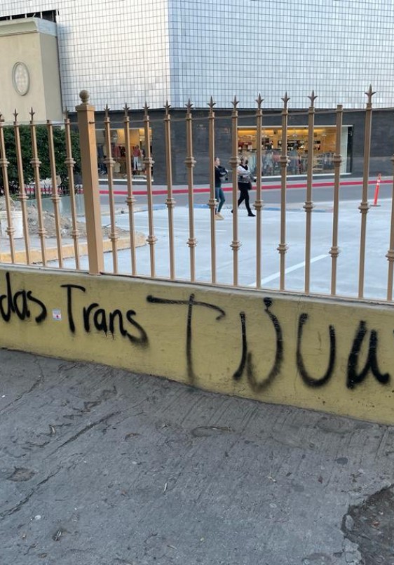 Las luchas transfeministas frente a la necropolítica y el asedio neoconservador