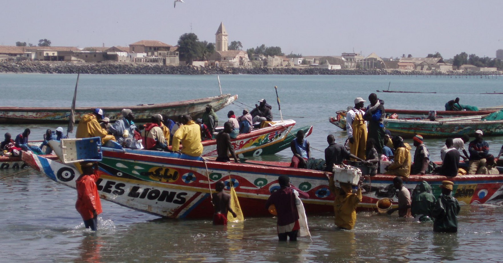 Vuelta a las raíces