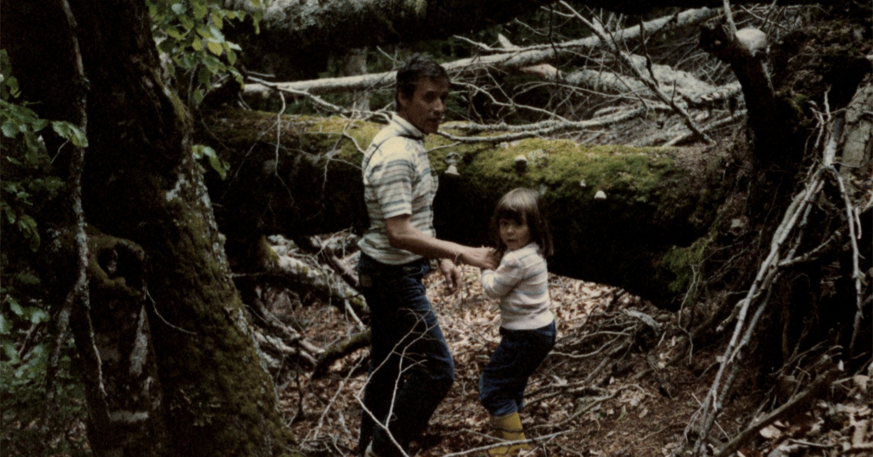 ‘Mato Grosso’, de Raquel Bravo, y ‘Endémico’, de Daniel L. Fleitas