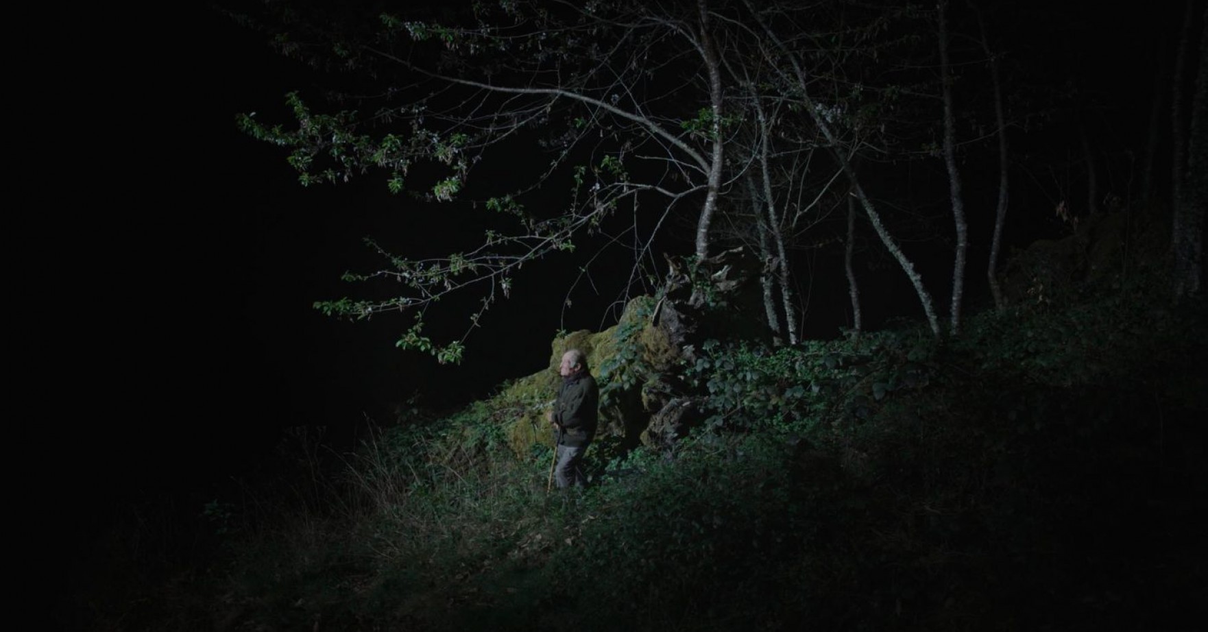 Proyecciones La Pinochera 2