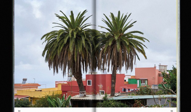 'Sin palmeras no hay paraíso'