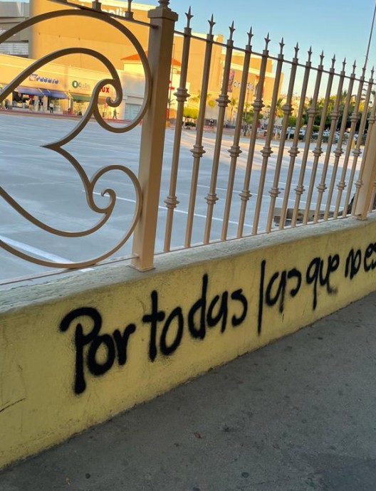Las luchas transfeministas frente a la necropolítica y el asedio neoconservador
