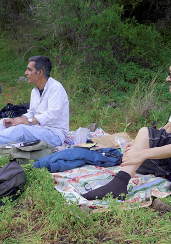 Proyecciones La Pinochera