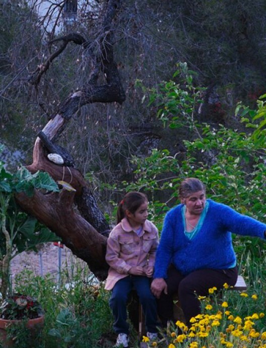 Jornadas de Cine Fuera de Campo