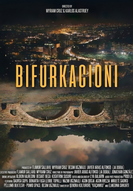 Bifurkacioni