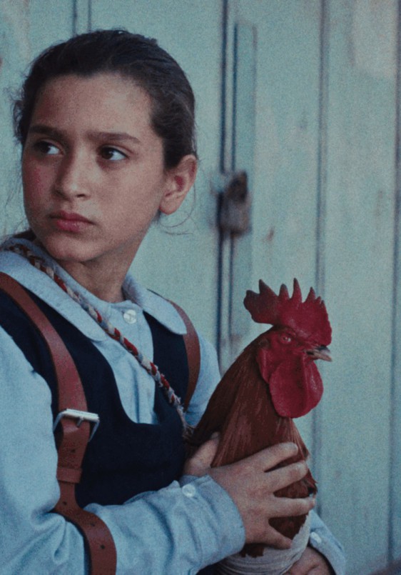 La tarta del presidente