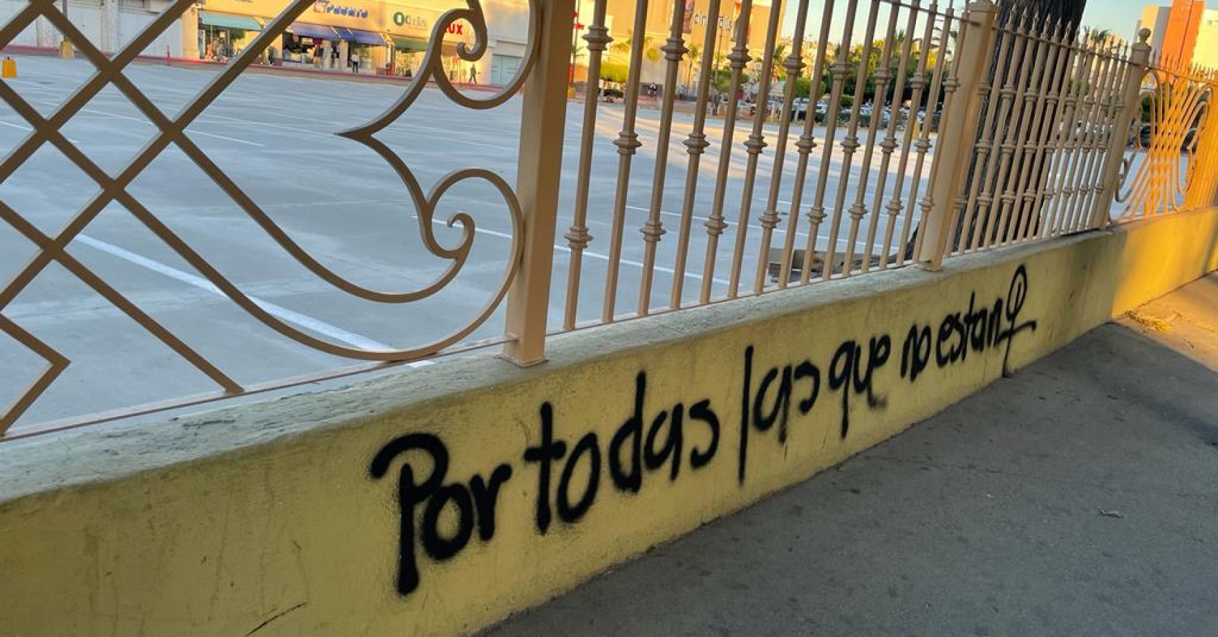 Las luchas transfeministas frente a la necropolítica y el asedio neoconservador