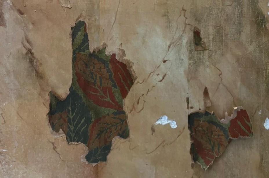 Material de archivo. Imagen del  levantamiento de la pintura interior de las  viviendas