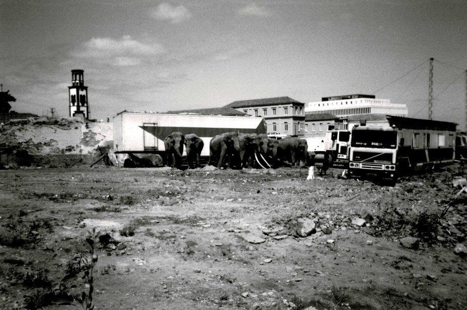 'Elefantes' (1996). Fotografía blanco y negro. 35 mm