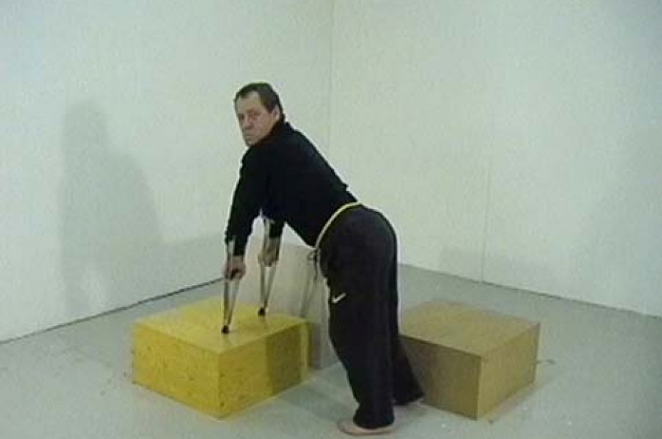'Low Attention Span-High Curiosity Rate' (2000), de Tiago Carneiro da Cunha. Colección Ordóñez-Falcón de Fotografía, TEA Tenerife Espacio de las Artes, Cabildo Insular de Tenerife