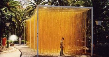 Imagen - Lo que pesa una cabeza