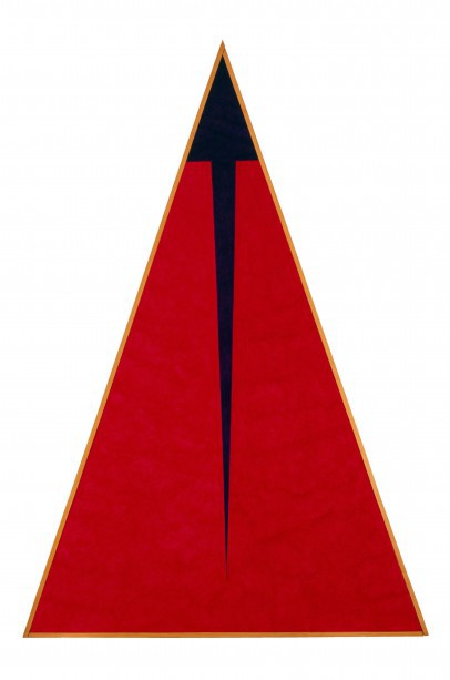 José Luis Medina Mesa, Cor-pic