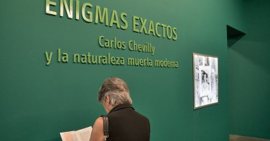 Imagen - 'Enigmas exactos: Carlos Chevilly y la naturaleza muerta moderna'