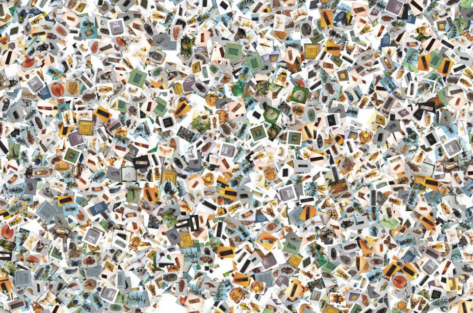 Joana Moll. 4004 (2021)