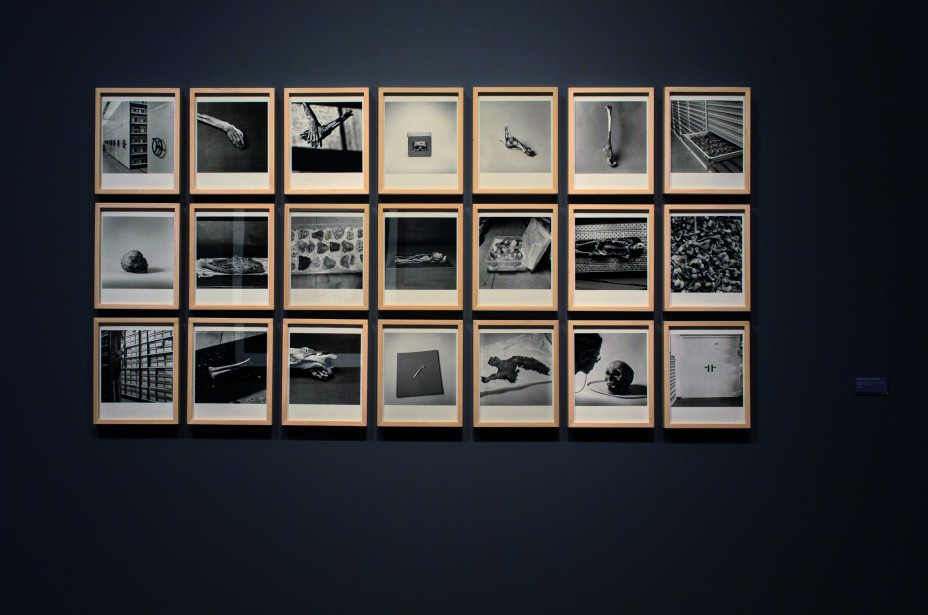 Políptico Almacenes de Museo. Teresa Correa