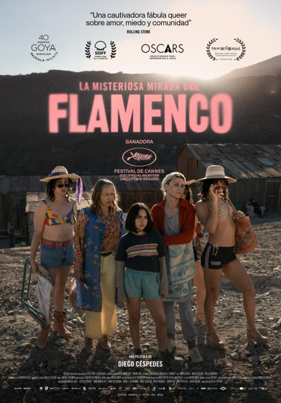 La misteriosa mirada del flamenco