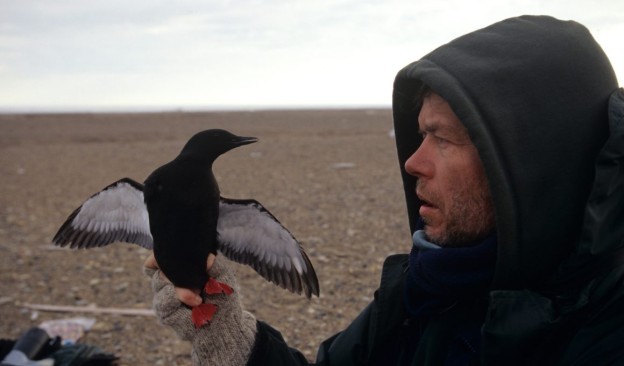 The Birdman of Cooper Island