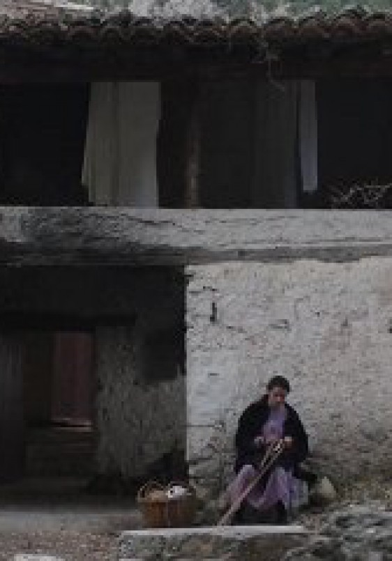 La memòria de les papallones