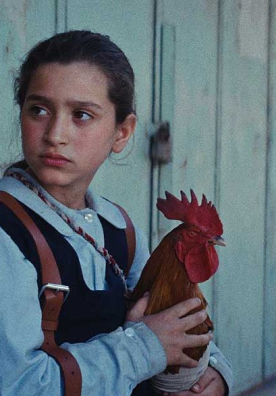 La tarta del presidente