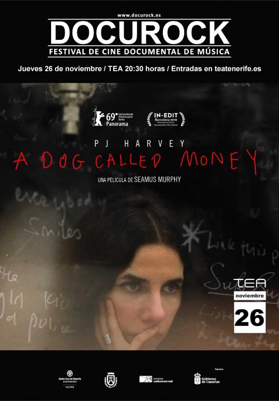 PJ Harvey: A dog called money