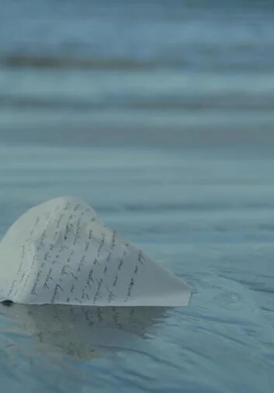 Mi ilustrísimo amigo