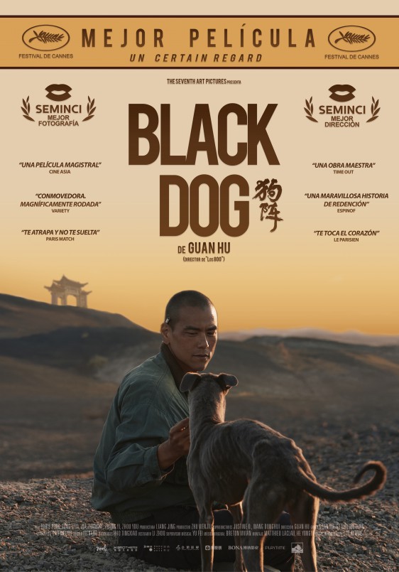 Black dog