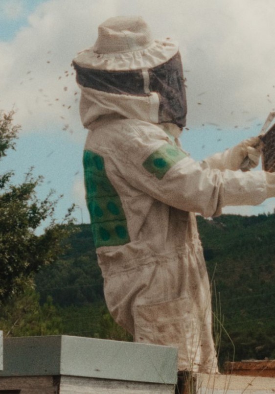 La sabana y la montaña