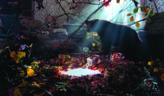 El espacio MiniTEA inicia una nueva programación vinculada a una creación del fotógrafo americano Gregory Crewdson