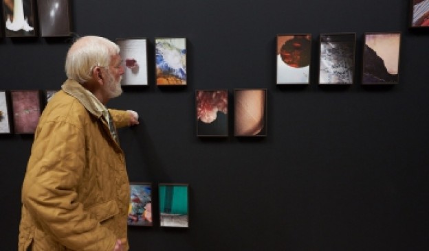 TEA organiza unas jornadas en torno al artista Per Lillieström, autor de la exposición 'Pájaros'