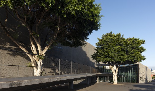 El Cabildo lanza una convocatoria para la dirección artística de TEA Tenerife Espacio de las Artes