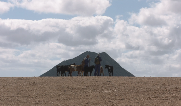 TEA proyecta ‘Rendir los machos’, Mejor largo nacional en el Festival L’Alternativa de Barcelona